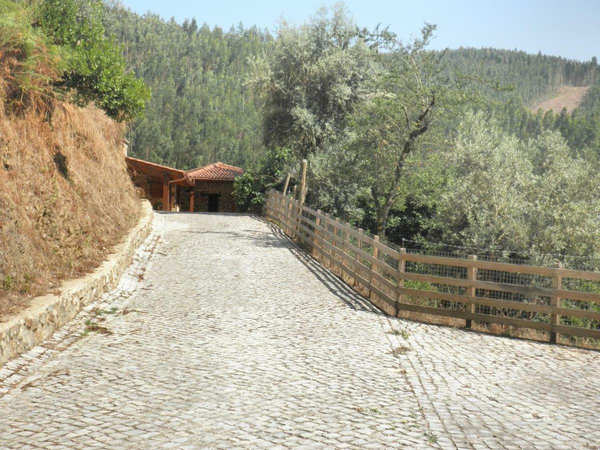 Villa Casa Velha Figueiro Dos Vinhos Exterior foto