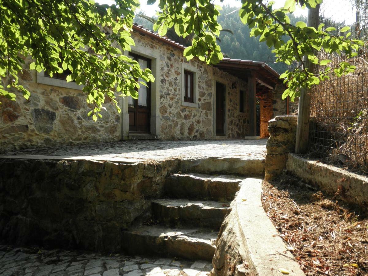 Villa Casa Velha Figueiro Dos Vinhos Exterior foto